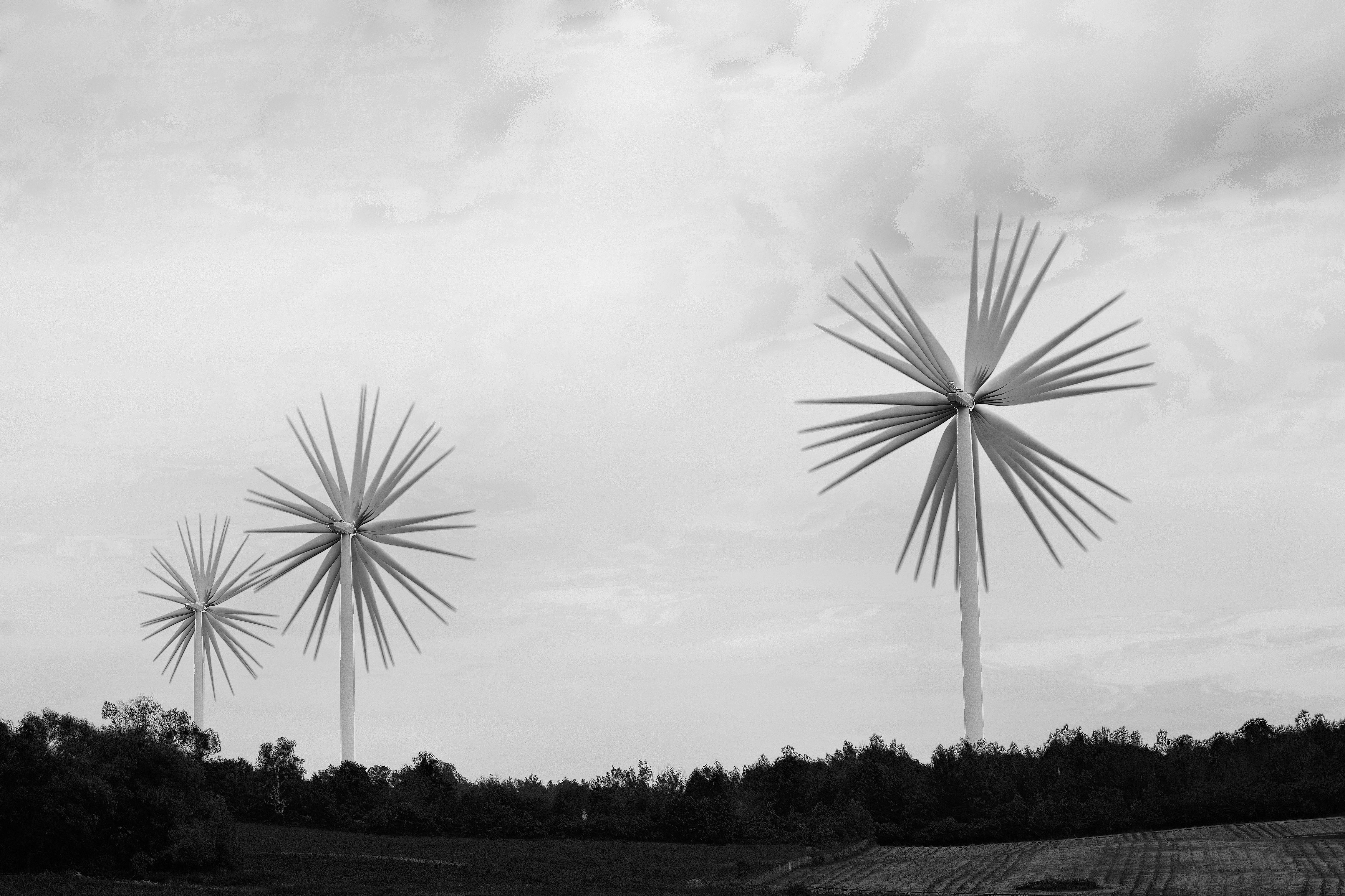 Wind turbines in black and white