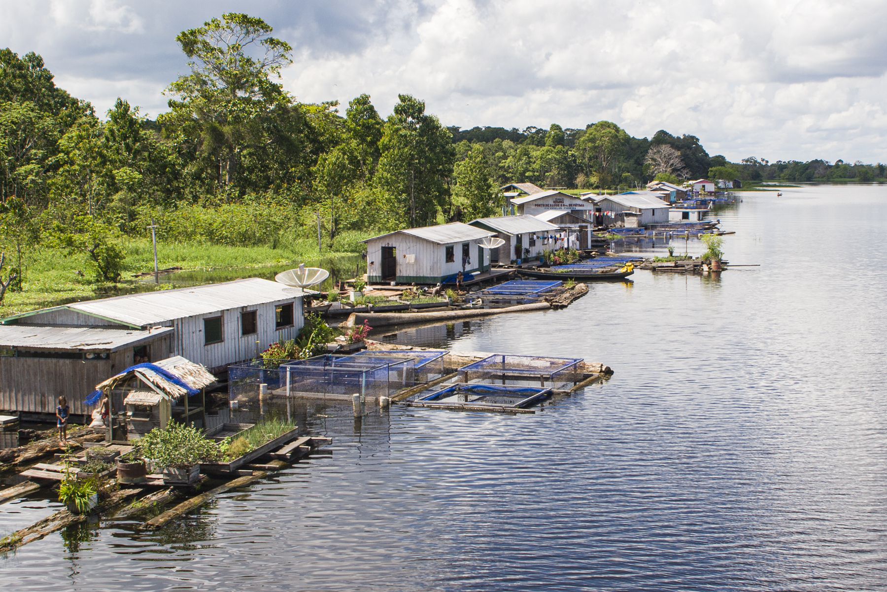 Caboclo Village along the Rio Negro, Brazilian Amazon