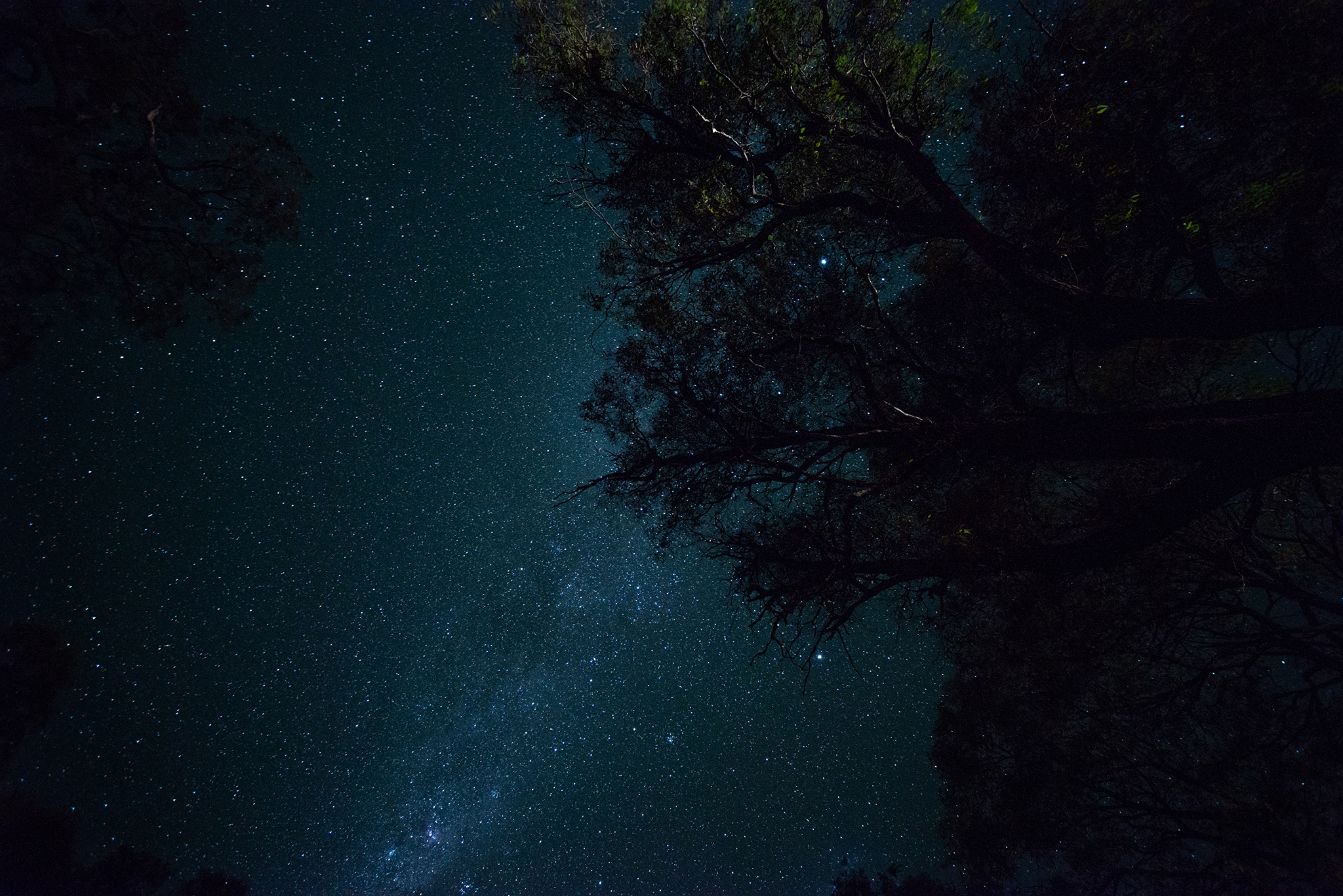 Milky Way, Heathcote