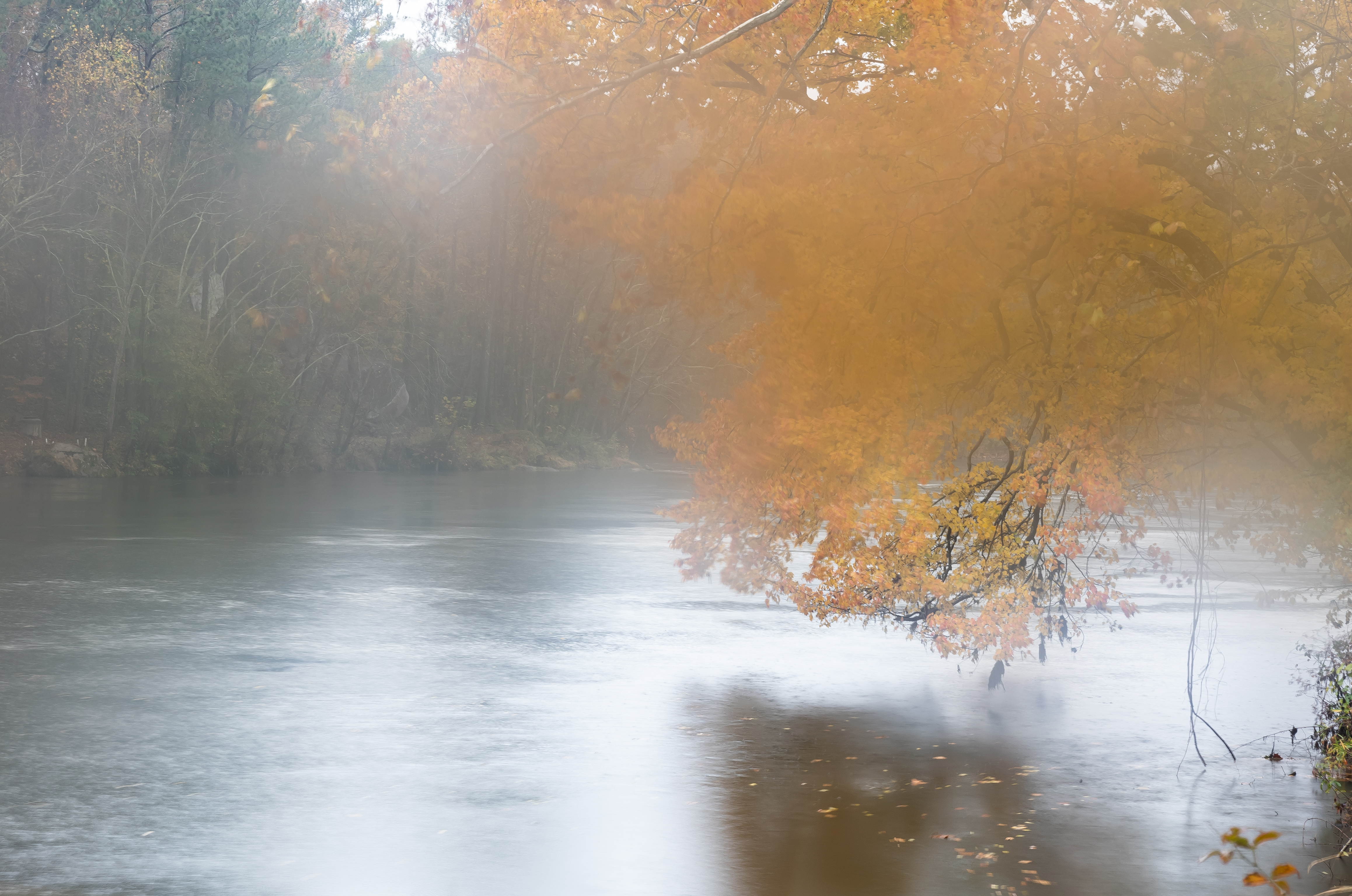 Went to the river, missing the fog and mist by an hour or so. I tucked my camera inside my jacket and found a foggy lens-it was much warmer than I expected. I decided to use it anyway....