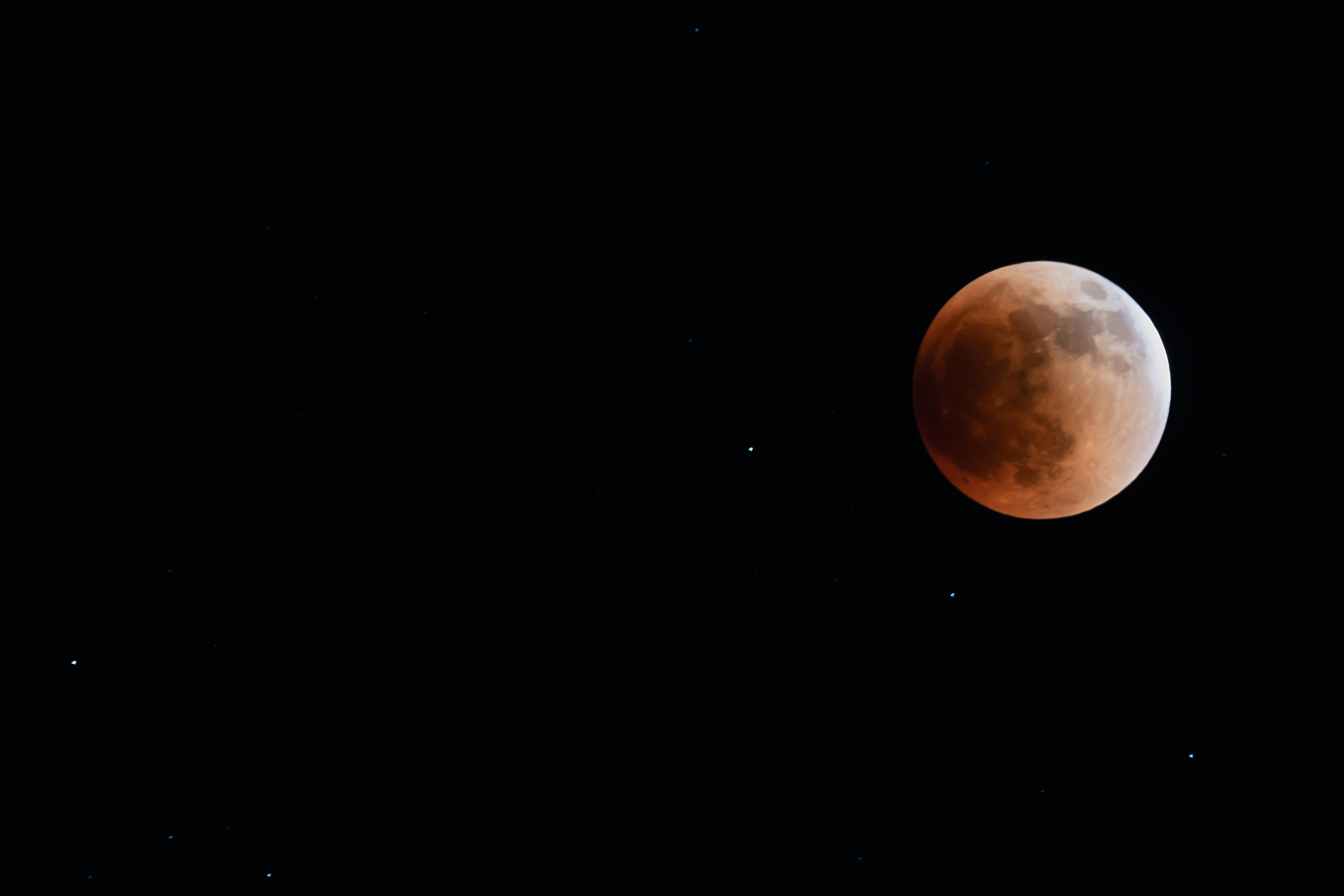 Starring The Blood Moon Eclipse