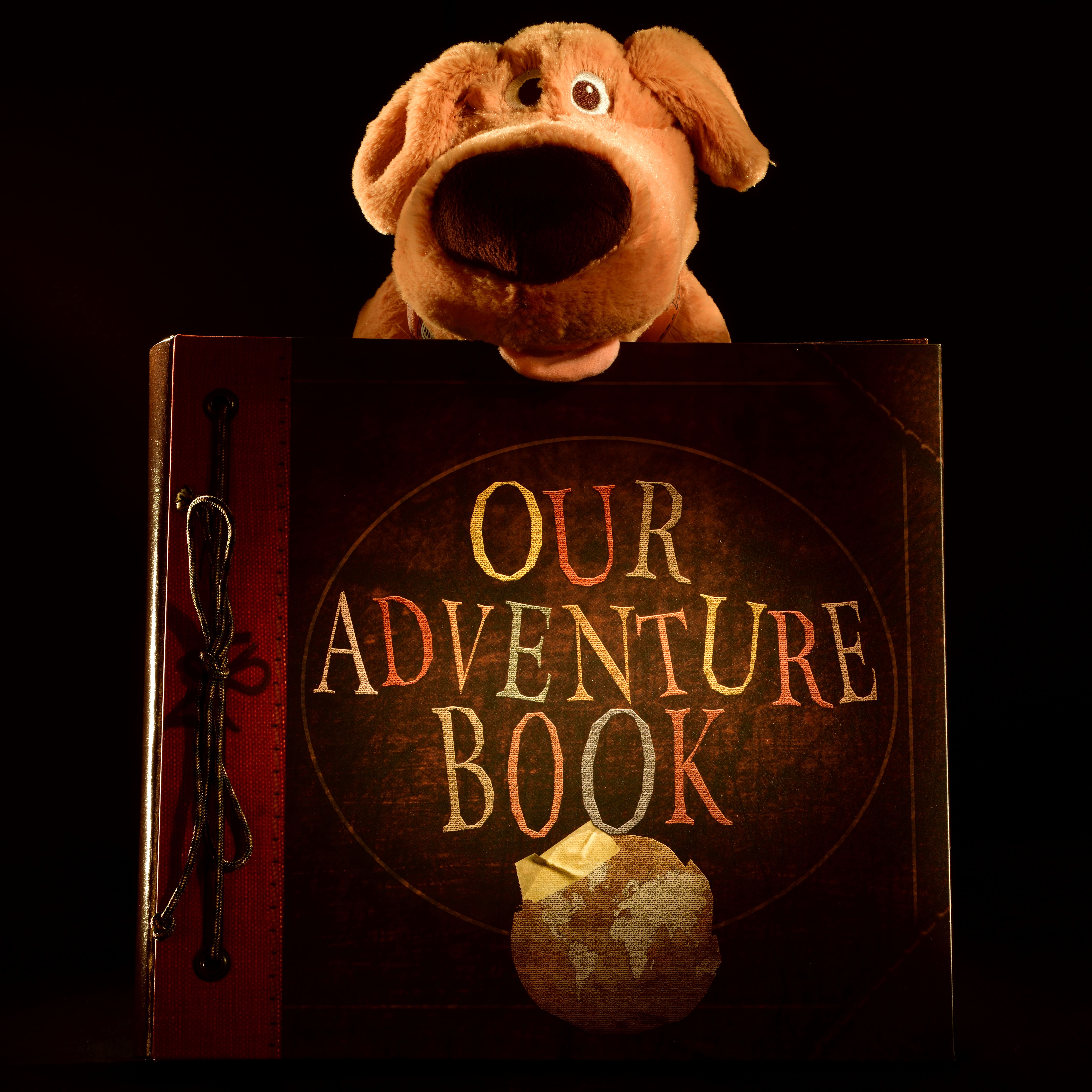 Dug and his adventure book.