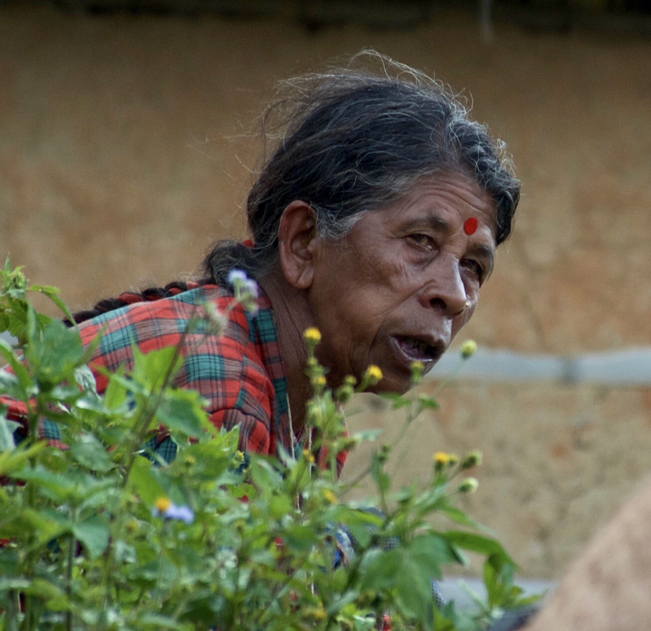 Old lady Nepal